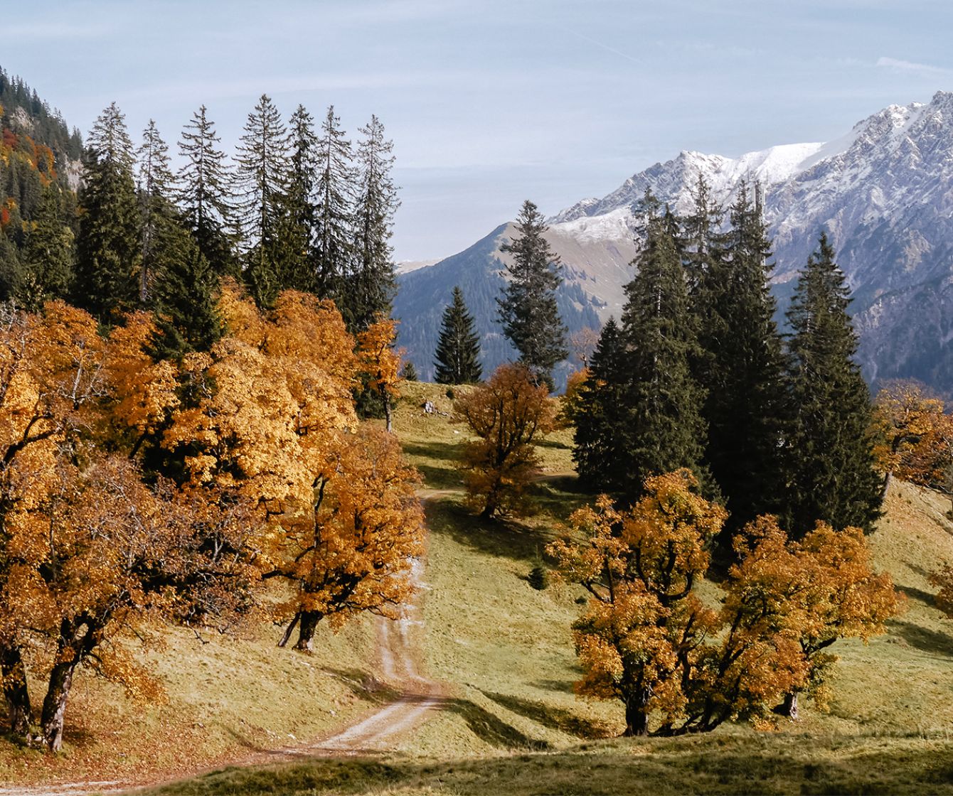 Allgäuer Berglandschaften